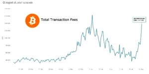 Bitcoin fees spike to nearly $3 per transaction