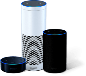 Amazon Voice products lead market