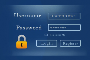 Dashlane password security report