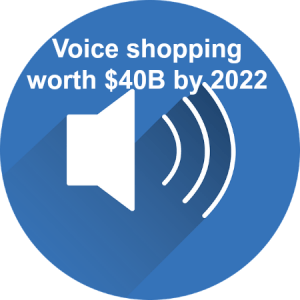 By 2022, voice shopping worth $40 billion