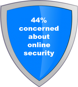 44% concerned about online security