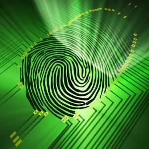 fingerprint payments