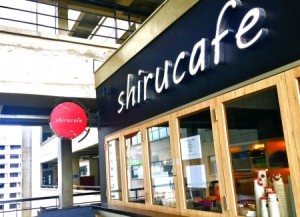 Shiru Cafe offers free coffee for data