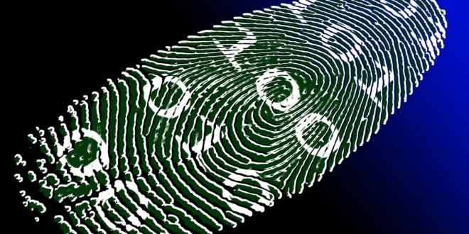 biometrics payments authentication