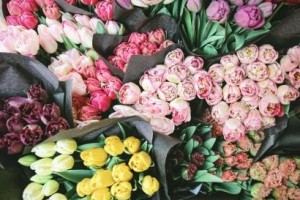In 2019, US shoppers will spend more than $2.6 billion on flowers for Mom.