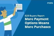 MSTS B2B payments research report