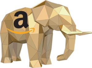 Amazon is the dominant e-commerce leader