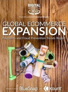 Global E-commerce Expansion report