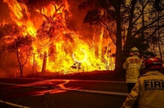 Australia brushfires