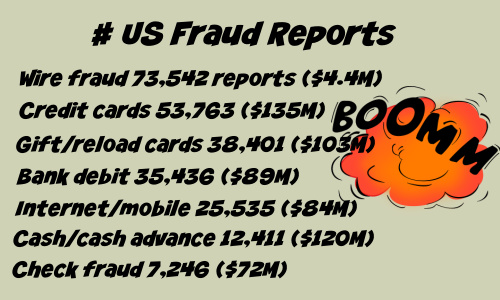 US fraud reports hit record