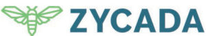 Zycada delivers high-performance e-commerce networks