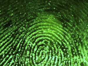 passwordless biometric identity