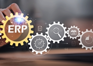 ERP systems fraud risk