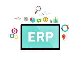 ERP systems management