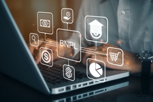 BNPL payment growth