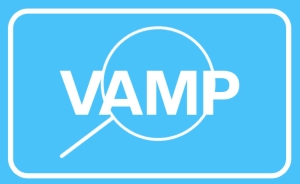 Visa VAMP